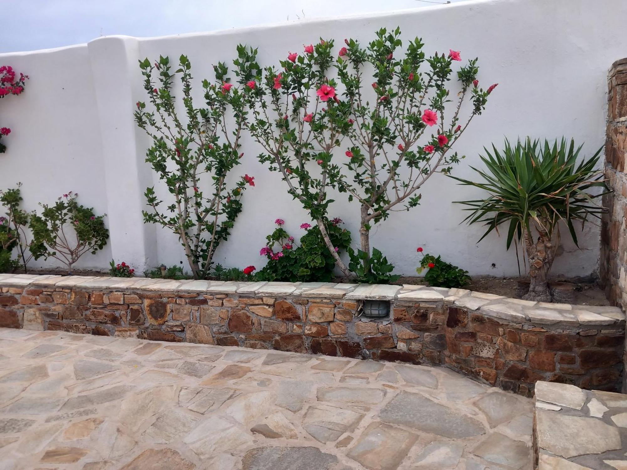 Vaso Studios & Apartment In Naxos Town Naxos City Luaran gambar